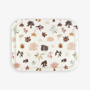 Plateau moyen tropical