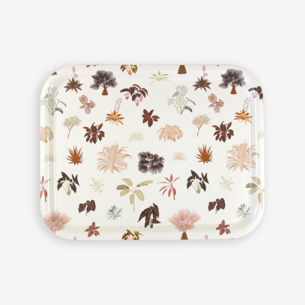 Plateau moyen tropical