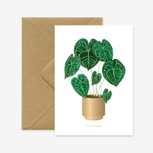 Carte merci Anthurium
